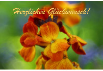 Glückwunsch